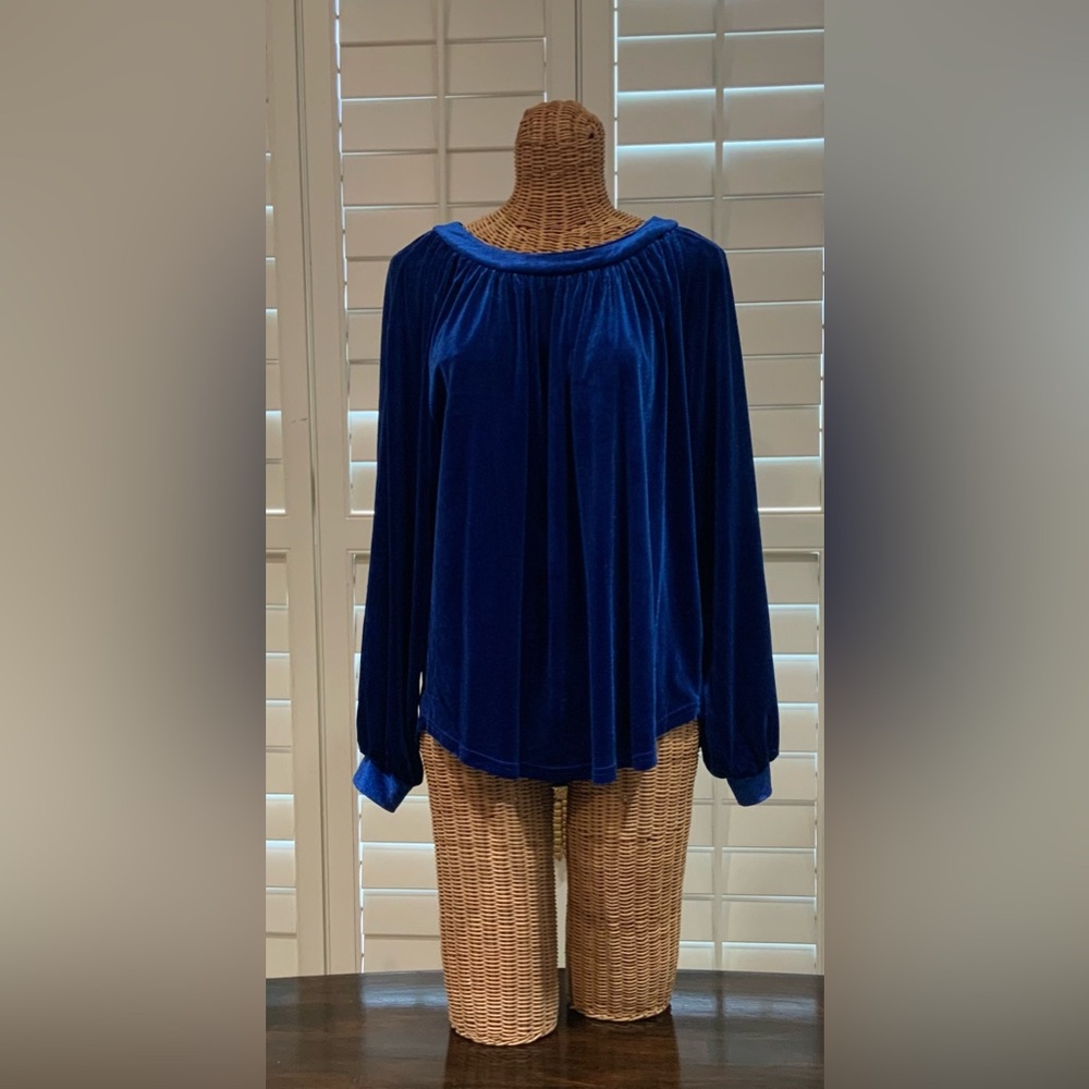 Beautiful Blue Velvet Top